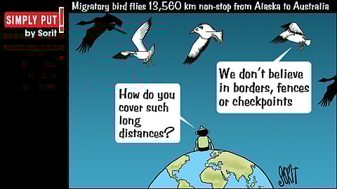 Simply Put: World without borders