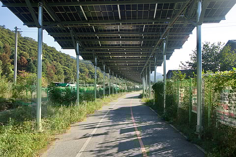 South Africans want solar power but they worry panels will be stolen — study