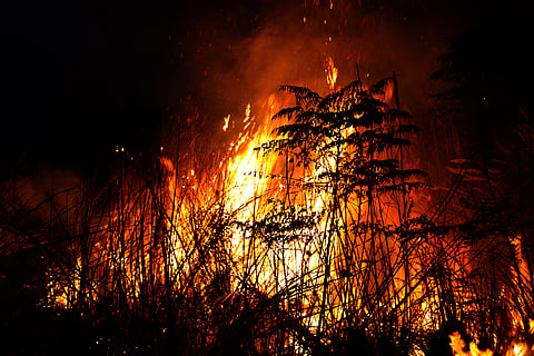 Wildfires in North America are changing the fire calendar, becoming longer, more intense and harder to control: Study