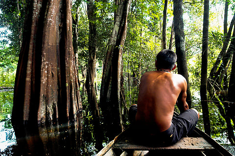 Illegal trade networks threaten Indigenous peoples in Amazon: report