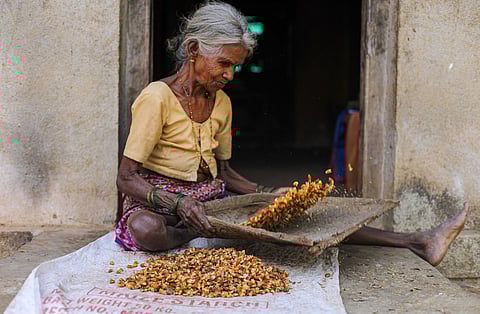 For indigenous peoples, every day is Earth Day