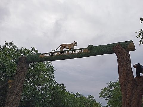 World Earth Day 2026: Telangana’s Chenchu adivasis resist forcible relocation from Amrabad Tiger Reserve