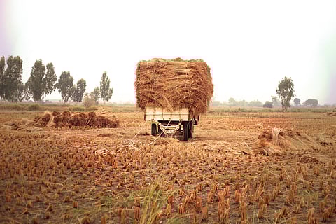 Why the LPG crisis is a biogas expansion opportunity for India