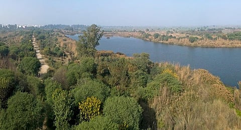 NGT issues notice to Centre and UP over Yamuna pollution in Mathura, Vrindavan