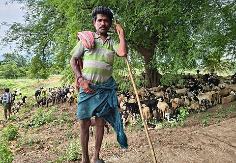 International Seed Day 2026: How pastoralism quietly protects India’s seeds