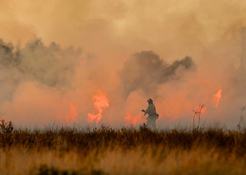 Why the Southeast is burning — extreme drought is only part of the reason
