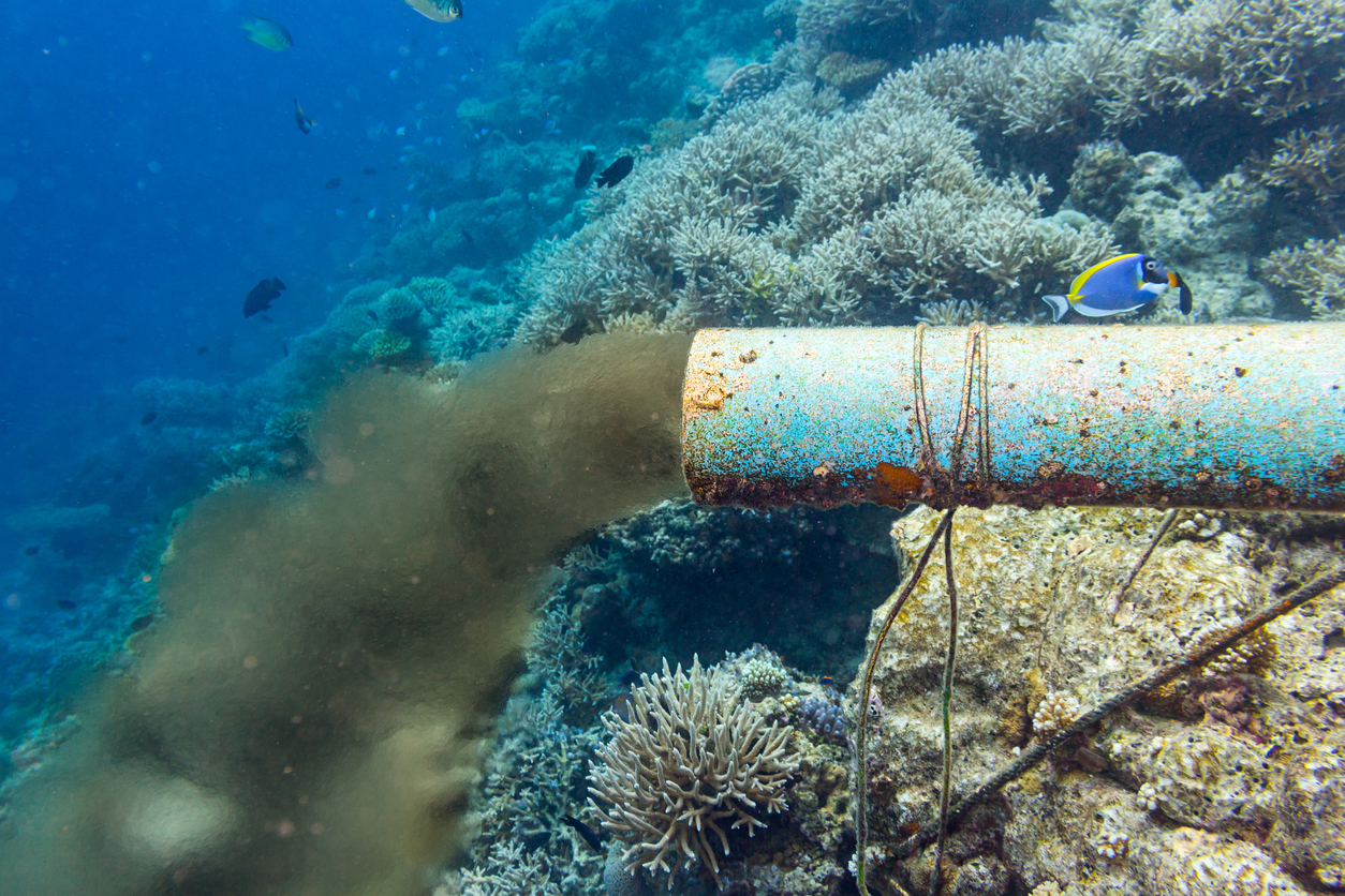 Four of six Marine Protected Areas designed to save coral reefs exposed to high domestic wastewater 