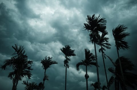 Super El Niño impact: Will India see a weak monsoon