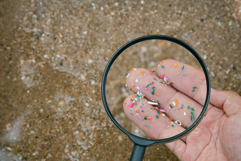 Coasts to plates: Transboundary journey of microplastics to enter human body
