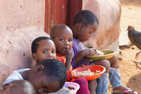 More than 1 billion Africans unable to afford a healthy diet: Report 