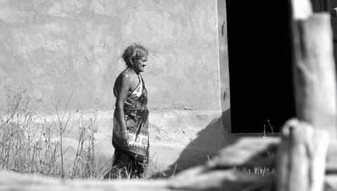 Poverty’s own republic: “Our old world was a free economy of forests” 