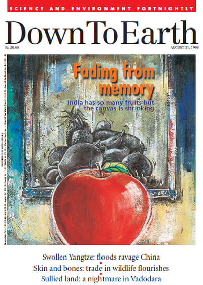 cover-image