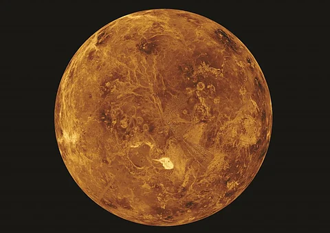 The terrain in the northern hemisphere of Venus, based on radar data from NASA's Magellan mission. Photo: NASA/JPL