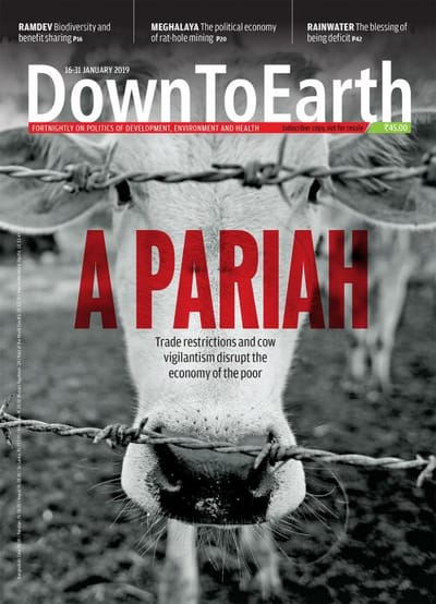 cover-image
