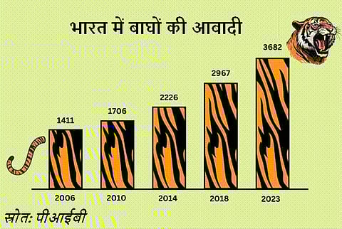 भारत में बाघों की जनसंख्या