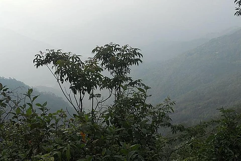 हिमाचल प्रदेश, पंजाब, हरियाणा, चंडीगढ़ और बिहार के अलग-अलग इलाकों में 30 नवंबर तक और उत्तर प्रदेश में दो दिसंबर की देर रात से सुबह तक घना कोहरा छाए रहने की आशंका व्यक्त की गई है।