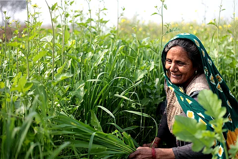 कृषि खाद्य प्रणालियां लोगों और ग्रह के सामने मौजूद प्रमुख चुनौतियों से निपटने के लिए बेहद मायने रखती हैं; फोटो: आईस्टॉक