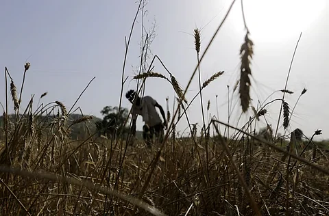एआई का अंदेशा, दुनिया के अधिकांश हिस्सों में तेजी से तीन डिग्री सेल्सियस की ओर बढ़ रहा है तापमान