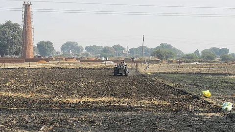 श्योपुर में धान का रकबा बढ़ने से जिला 2024 में पराली में आग की घटनाओं के मामले में पहले स्थान पर आ गया। बड़ौदा ब्लॉक में ऐसा ही एक जला हुआ खेत