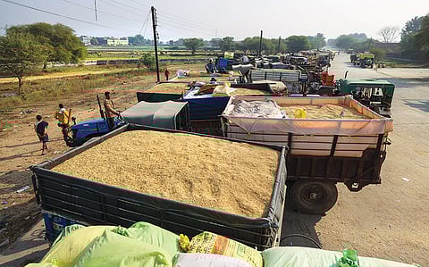 प्रतीकात्मक फाइल फोटो: विकास चौधरी, सीएसई