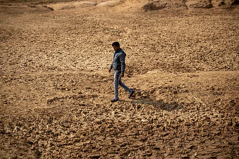 dry winter