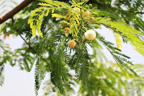 प्रतीकात्मक तस्वीर: आईस्टॉक