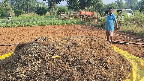 आलनार गांव के चन्नू कुंजम छत्तीसगढ़ के दंतेवाड़ा जिले के उन 10,000 किसानों में से एक हैं, जिन्हें जैविक खेती के लिए सर्टिफिकेट मिला है
