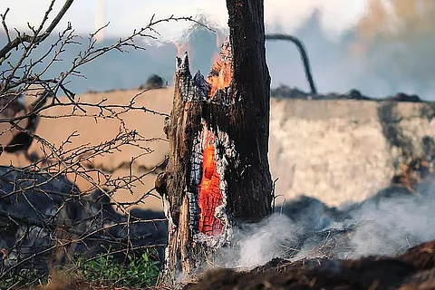 खतरे के कगार पर पृथ्वी: नीतियों में न हुआ बदलाव तो सक्रिय हो सकते हैं कई क्लाइमेट टिप्पिंग प्वाइंट्स