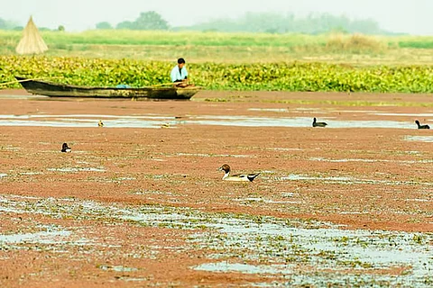 दलदली भूमि में दो तरह के सूक्ष्मजीव आपस में प्रतिस्पर्धा करते हैं, कुछ मीथेन का उत्पादन करते हैं, वहीं कुछ सूक्ष्मजीव उस मीथेन का उपभोग करते हैं, ऑक्सीजन का उपयोग करके इसे कम हानिकारक सीओ2 में बदल देते हैं।