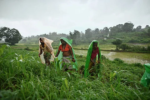 केरल में मॉनसून का जल्दी आना इस बात का संकेत है कि अन्य क्षेत्रों में भी समय पर बारिश हो सकती है। यह लोगों और अर्थव्यवस्था दोनों के लिए एक अच्छा संकेत है।