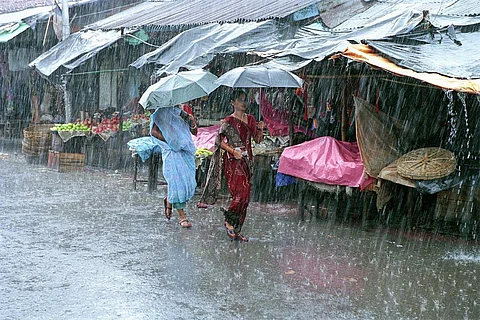फाइल फोटो: सीएसई