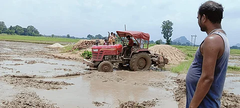 रांची जिले के राहे ब्लॉक के डोकाद पंचायत के चैनपुर  गांव के पवन महतो की चिंता यह कि खेत तैयार हैं, बिचड़े खराब हो गएः फोटो नीरज सिन्हा