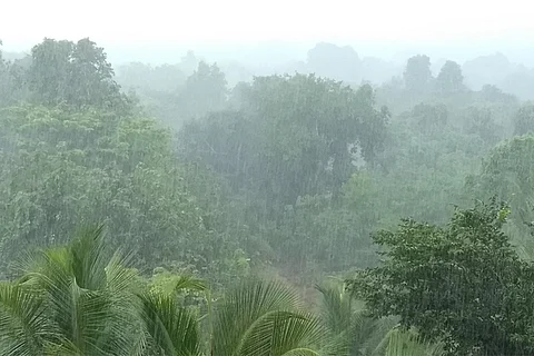 कल, 17 जुलाई, 2025 को पूर्वी मध्य प्रदेश के रीवा में 160 मिमी, सतना में 90 मिमी, पश्चिम मध्य प्रदेश के गुना में 150 मिमी बारिश रिकॉर्ड की गई 