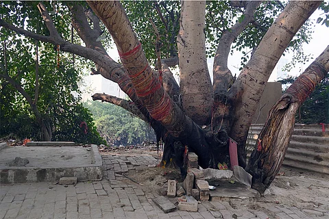 प्रतीकात्मक तस्वीर: आईस्टॉक
