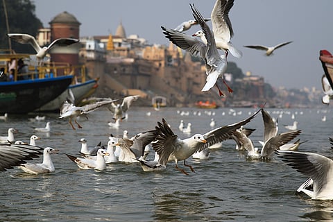 फोटो: आईस्टॉक