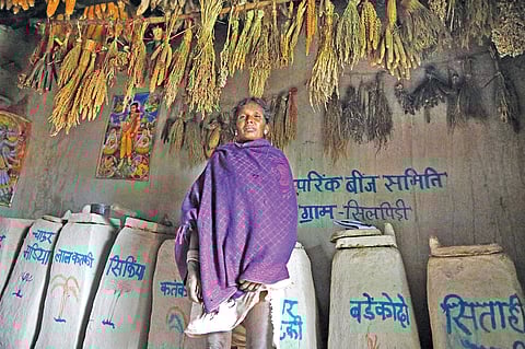 सामुदायिक बीज बैंक