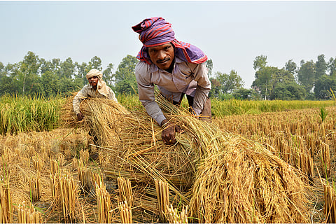 फोटो: आईस्टॉक