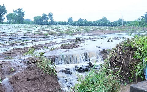 फोटो: सिद्धनाथ माने