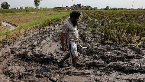 पंजाब बाढ़ के बाद :  जलप्रलय के निशान