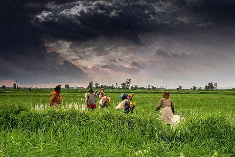 बारिश पर निर्भर खेती या मानसून कोर जोन में हुई 122 फीसदी बारिश से खरीफ की फसलों की पैदावार बेहतर होने की उम्मीद।