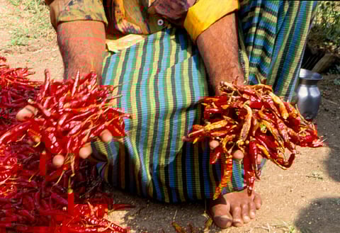 फाइल फोटो: अमित शंकर