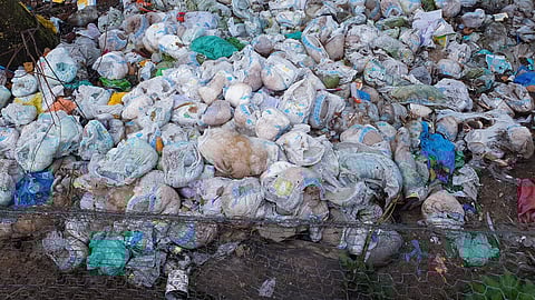 फोटो: आईस्टॉक