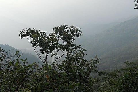 कई राज्यों में कोहरे की दस्तक: उत्तर भारत और पूर्वोत्तर के कई इलाकों में घना से मध्यम कोहरा छाया रहा।