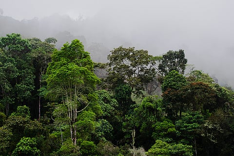 फोटो: आईस्टॉक