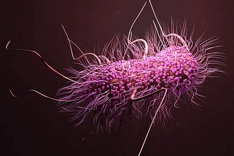 एंटीमाइक्रोबियल प्रतिरोध का बढ़ता खतरा: दुनिया में हर छह में से एक संक्रमण अब एंटीबायोटिक-प्रतिरोधी हो चुका है।