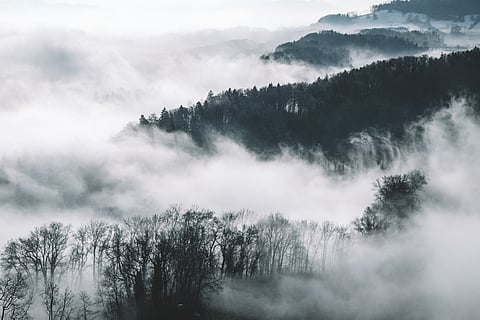 पूर्वोत्तर और पश्चिमी यूपी समेत देश के कई इलाकों में घना कोहरा छाने के आसार 