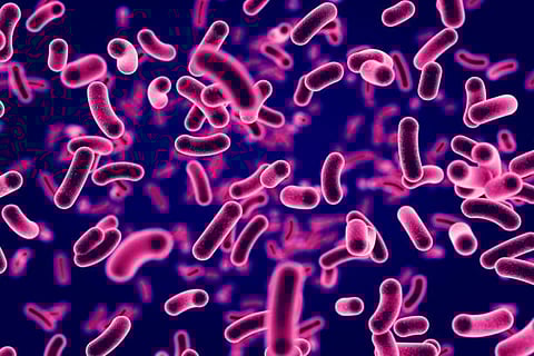 माइक्रोप्लास्टिक पर रोगजनक और एएमआर बैक्टीरिया पाए गए, सभी प्रकार के प्लास्टिक सतहों पर रोगजनक और रोगाणुरोधी प्रतिरोध बैक्टीरिया पाए गए।