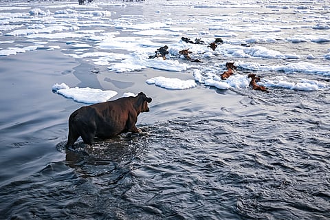 प्रदूषण से जूझती नदी; प्रतीकात्मक तस्वीर: आईस्टॉक