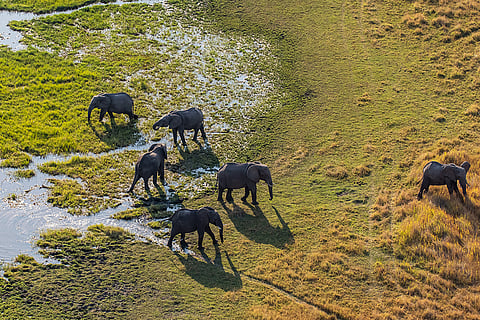 फोटो: आईस्टॉक
