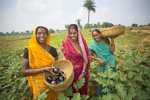प्रतीकात्मक तस्वीर: आईस्टॉक